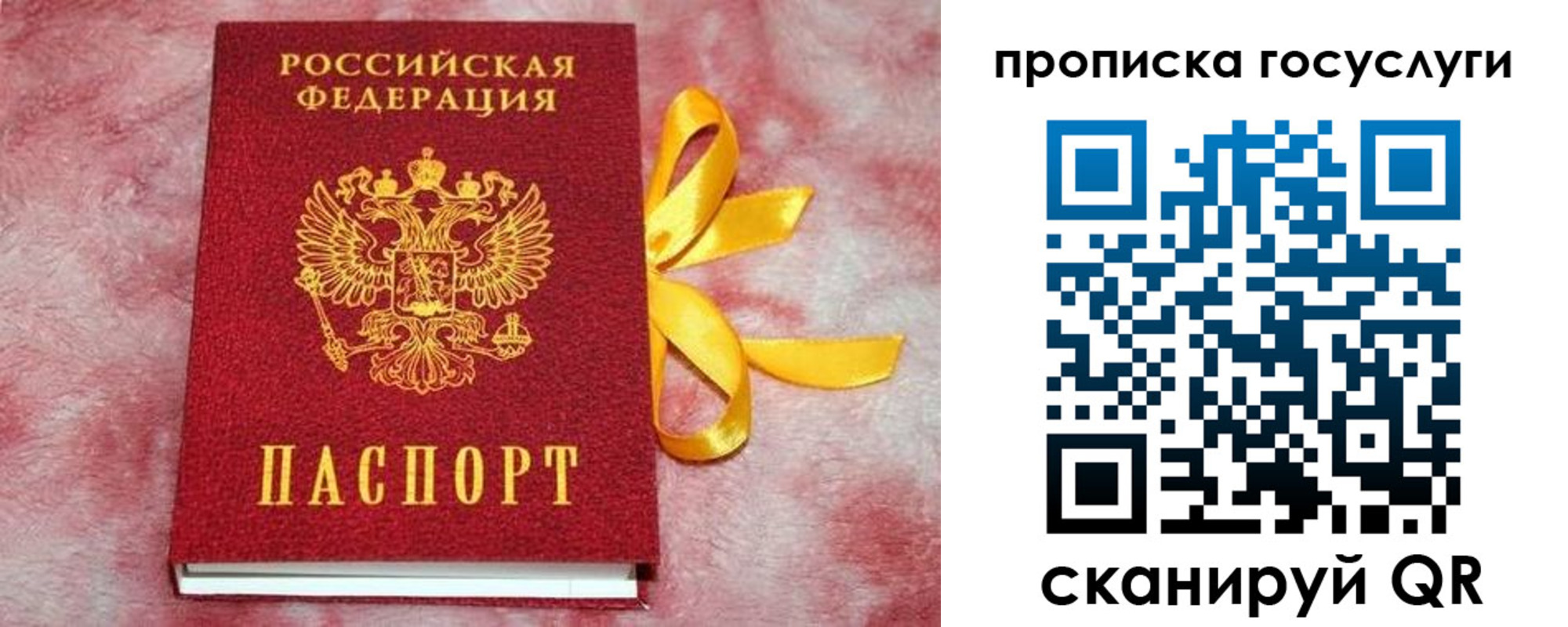 прописка законно в Калининградской области